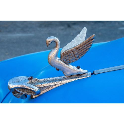 Close-up a swan hood ornament on a classic blue American car in Vieja-old Habana-Havana-Cuba